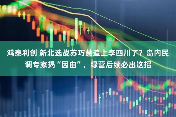 鸿泰利创 新北选战苏巧慧追上李四川了？岛内民调专家揭“因由”，绿营后续必出这招