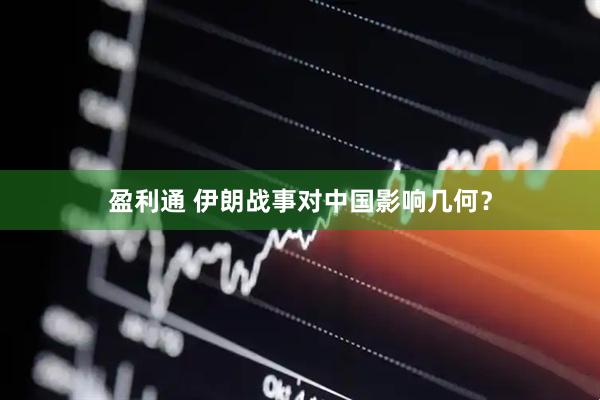 盈利通 伊朗战事对中国影响几何？