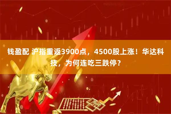 钱盈配 沪指重返3900点，4500股上涨！华达科技，为何连吃三跌停？