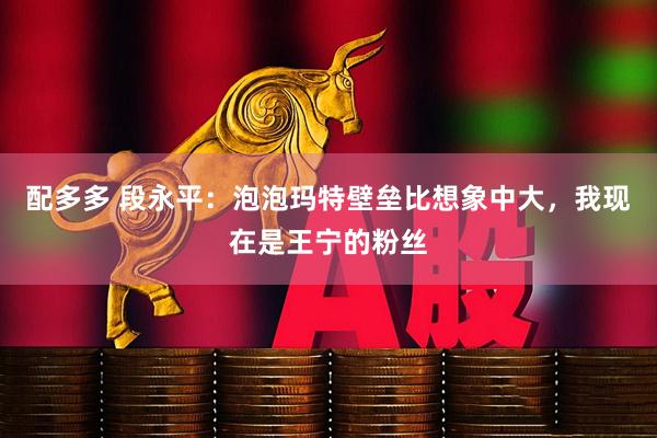 配多多 段永平：泡泡玛特壁垒比想象中大，我现在是王宁的粉丝