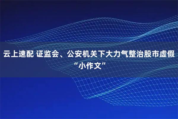云上速配 证监会、公安机关下大力气整治股市虚假“小作文”