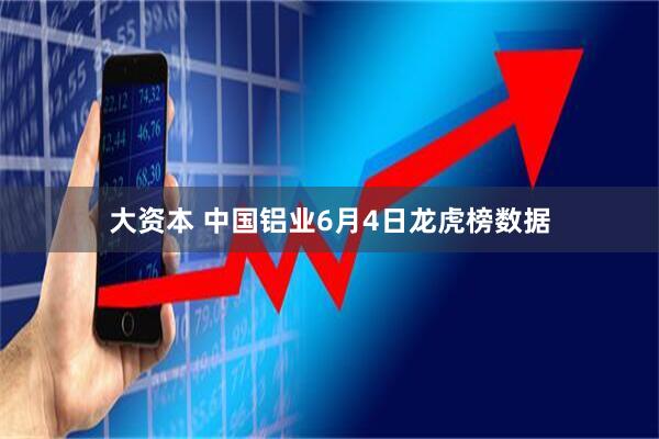 大资本 中国铝业6月4日龙虎榜数据